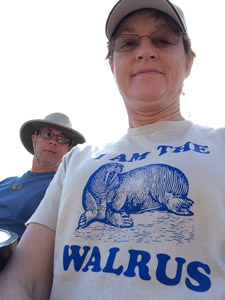 IamWalrus photo